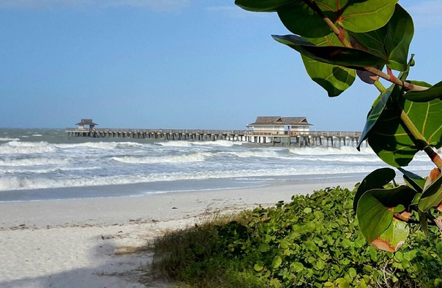 CONDO BY THE BEACH #2