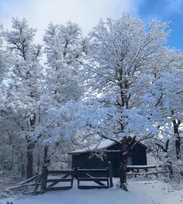 Conguillio cabaña Concón Turismo Conguillio