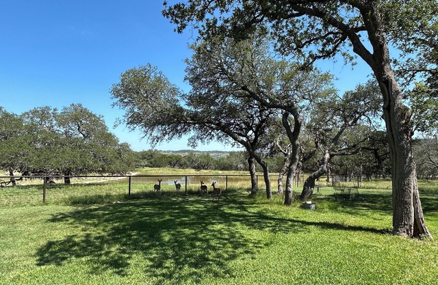 Cool cottage on 30 acres between Blanco and Luckenbach