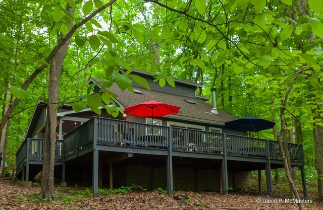 Coolfont 4 BDRM, lots of beds! Cozy Wooded Cottage.