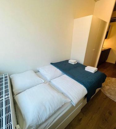 Copenhagen Studio with Double Bed and Kitchen 3