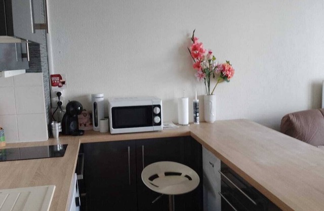 Cosy and quiet studio between city center and nature