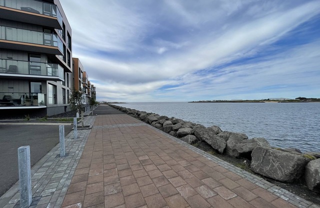 Cosy and spacious 1bdr apartment, only 15 min walk from SKY LAGOON