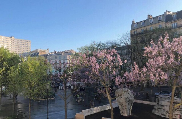 Cosy apartment in the 11th arrondissement