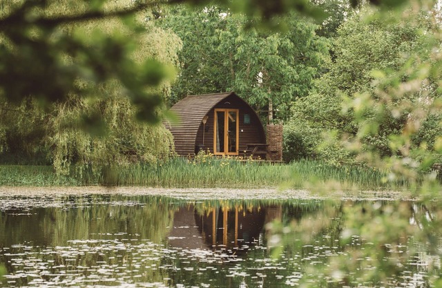 Cosy Cabin in Idyllic Woodland Setting