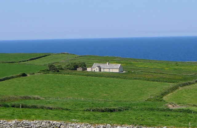 Cosy cottage with ocean view
