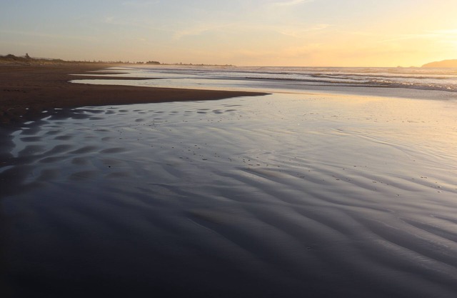 Cosy pods, 2 minutes walk from beach - pet friendly!