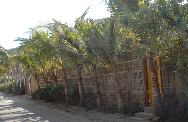 Cosy Private Bungalow in "Las Pocitas" Mancora Peru 