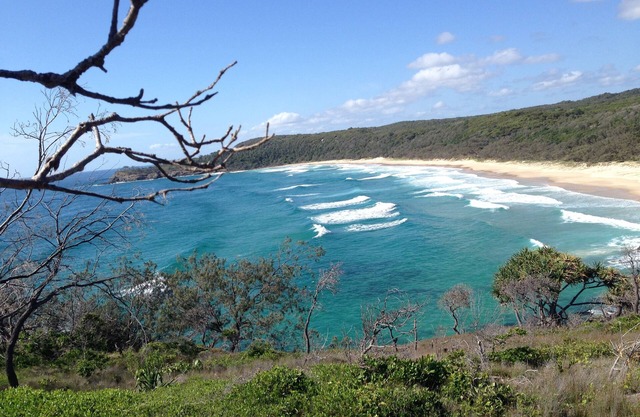 Cosy Studio walk to Whale beach