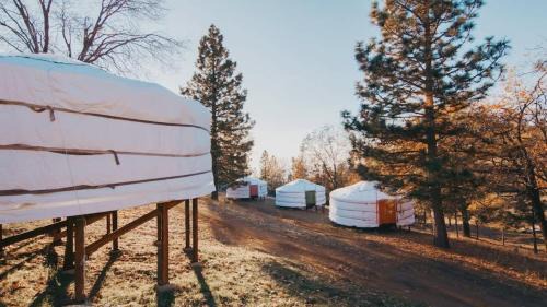 Cosy yurt at a nature retreat