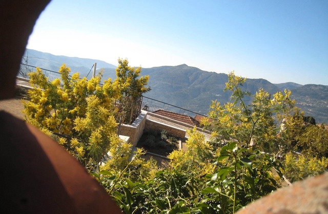 COTE D'AZUR, detached house with large garden in typical village