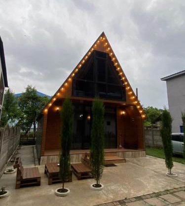 Cottage Eco house