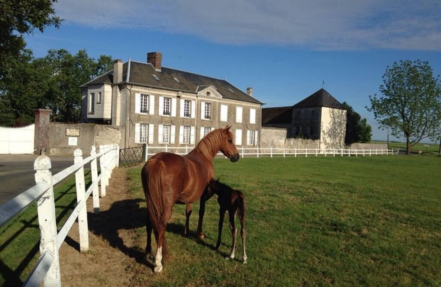 Cottage in the countryside in a pretty farm