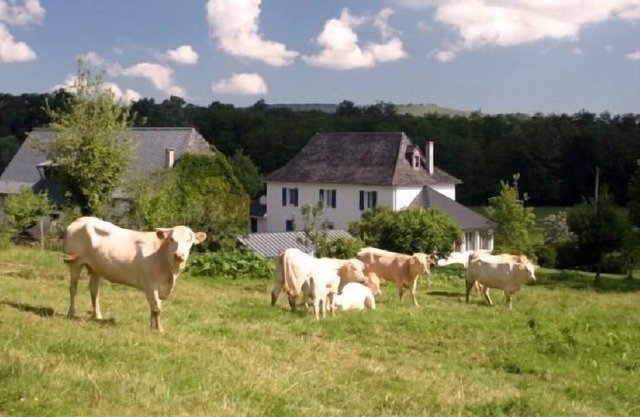 Cottage L'Ostau Barétous Pyrénées for 5 persons