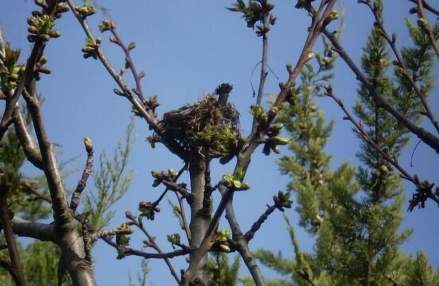 Cottage Las Duronas for 8 people