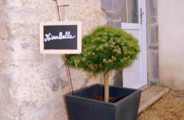 Cottage "MIRABELLE" in the countryside with swimming pool