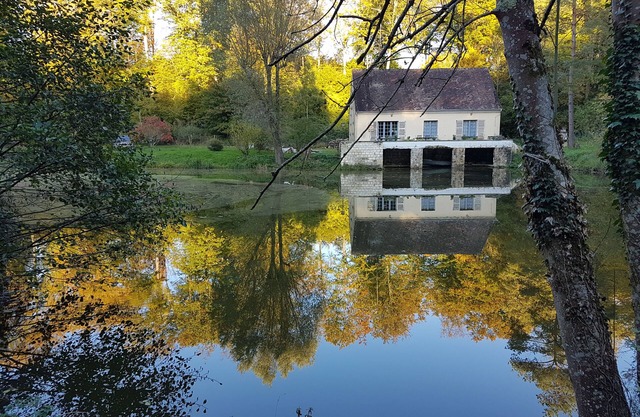 Cottage Nest in the forest