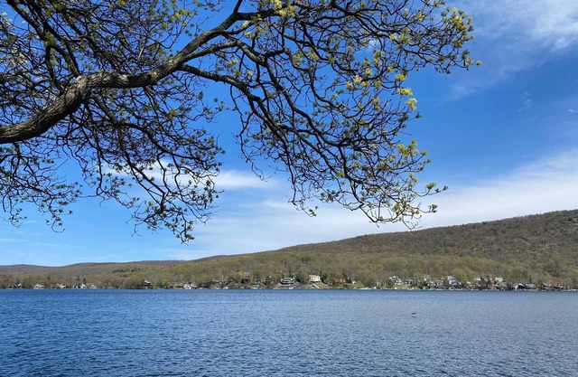 Cottage on the Lake - Relax, Swim & Enjoy!
