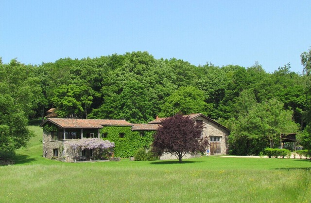 Cottage XXX in the middle of the woods