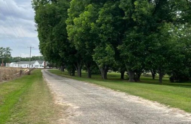 Cotton Top Farm