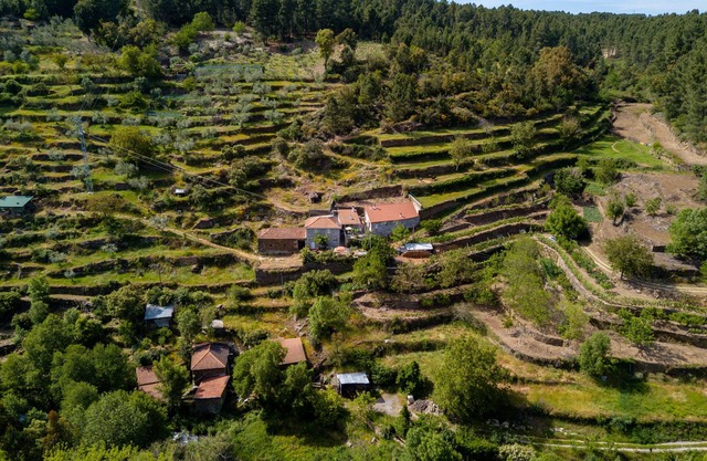 Country House - Rustic House
