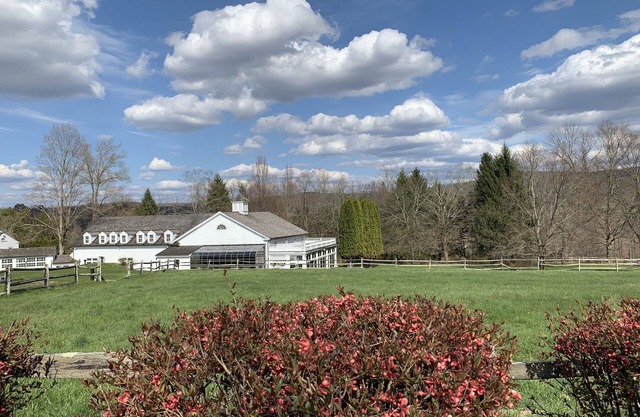 Country Living at its best in this Sharon Estate with indoor pool*