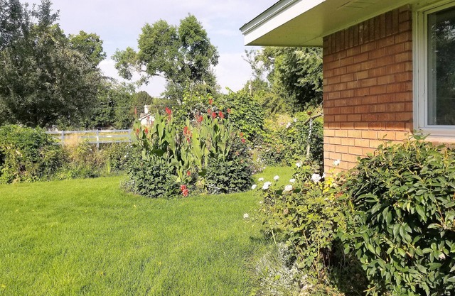 Country Quiet, City Close