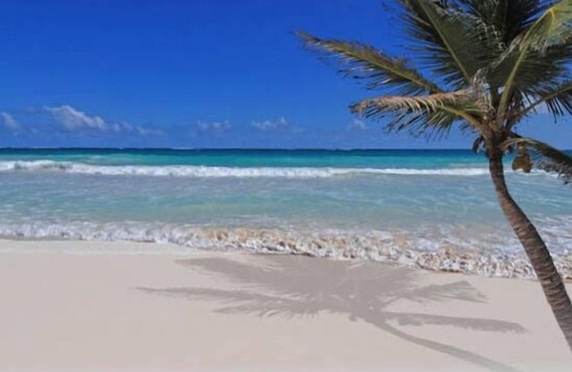 Cozumel Beach Front Condo on San Francisco Beach @ Residencias Reef