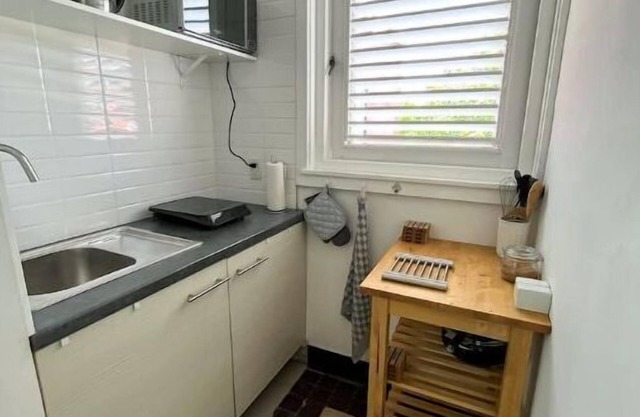 Cozy 1 bedroom apt near the heart of the city