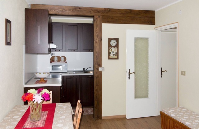 Cozy apartment at the foot of the lifts