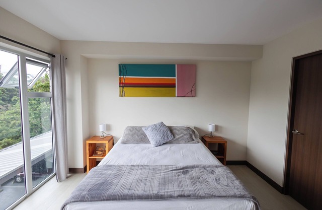Cozy Apartment close to the nicest parts of San jose, 15 min to SJO airport