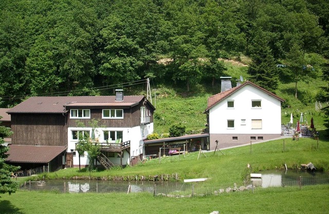 Cozy Apartment in Bruchhausen with Terrace
