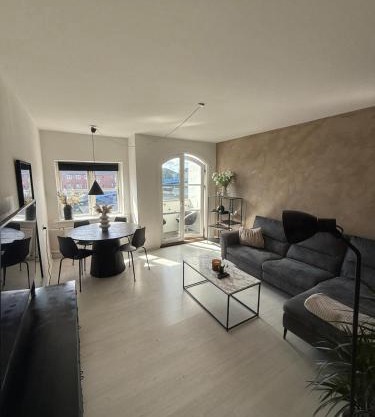 Cozy apartment in central Copenhagen