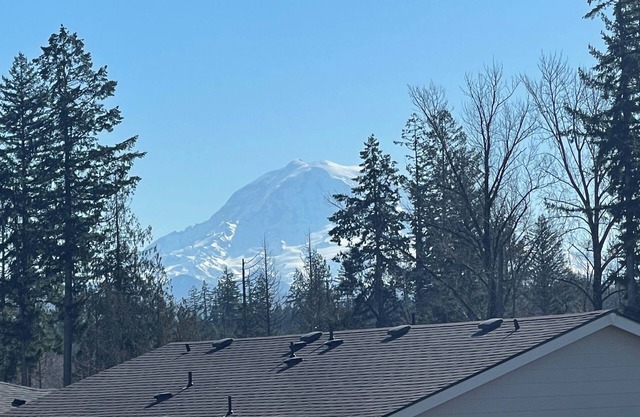 Cozy Basement - in charming Puyallup