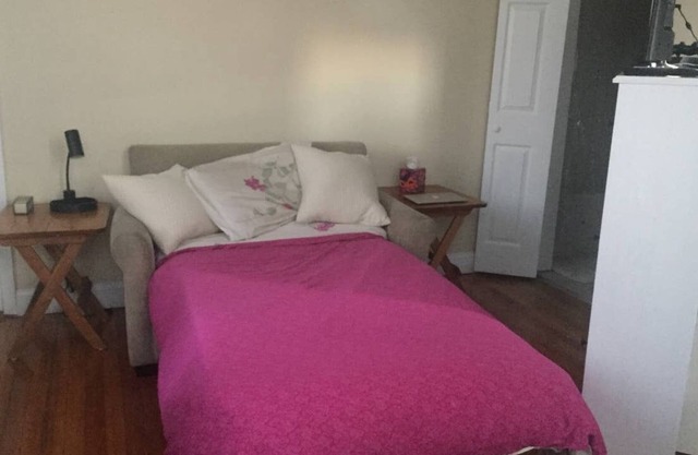 Cozy Boston 2bd Apt in a quiet neighborhood walking distance to the T