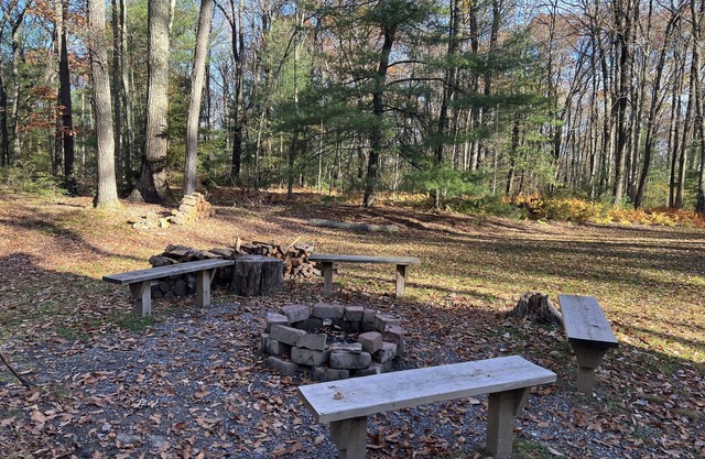 Cozy Cabin in the heart of the Big Woods