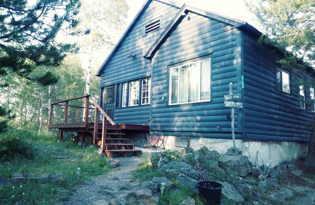 Cozy Cabin minutes from Yellowstone, fly fishing, skiing and snowmobiling.