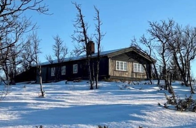Cozy cabin near Geilo & Dagali – terrace, grill, fireplace, view & WiFi