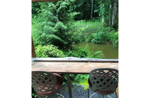 Cozy Cabin Nestled In Magical Olympic Old Growth