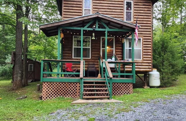Cozy Cabin Nestled at the base of the Bald Eagle Mtn.