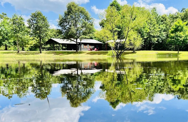 Cozy cabin w/private pond & firepit. 3 miles to lake & 12 to Crater of Diamonds