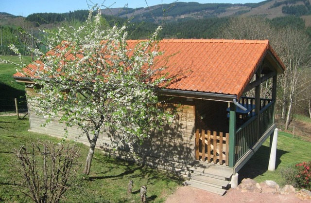 Cozy Chalet with Terrace, Near Trails and Activities, Pet-Friendly, All-Inclusive Utilities