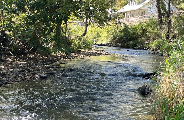 Cozy Clover Dell Cottage on Jacks Creek, Near Burnsville, NC
