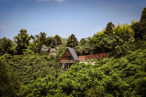 Cozy Cottage In Makhindjauri with Forest and Sea Views