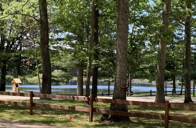 Cozy cottage with beautiful view of Grass Lake & walking distance to Clear Lake