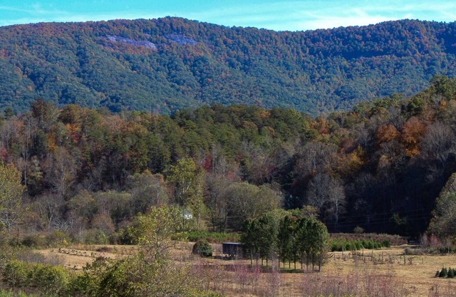 Cozy Country 3/2 w/shared outdoor fire-pit, playground & water access (Pets OK!)