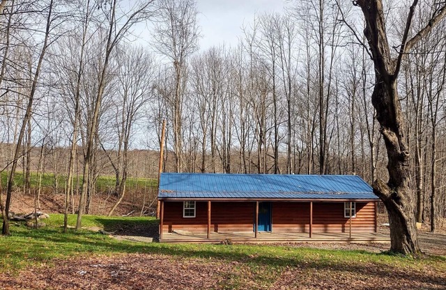 Cozy Crawford Cabin