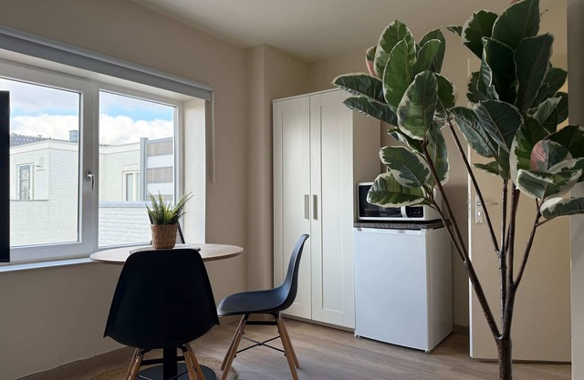 Cozy & Fully Equipped Studio in Eindhoven 05