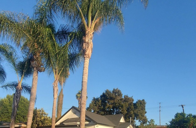 Cozy guest house, 3min to LB Memorial Medical Center!