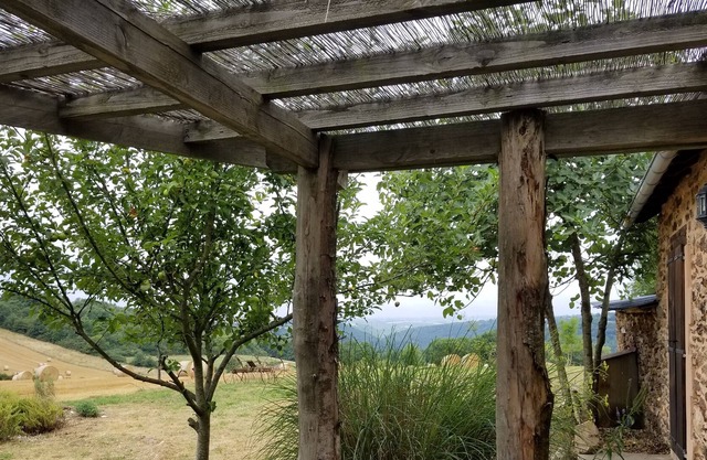 Cozy hideaway for honeymooners or those who want timeout in a natural setting